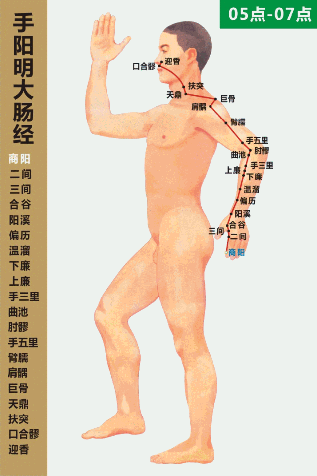 手阳明大肠经