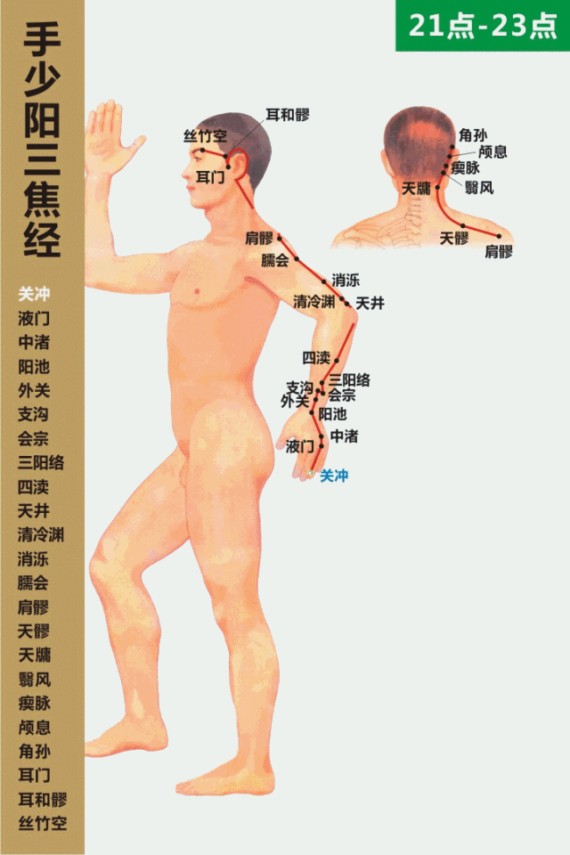 手少阳三焦经