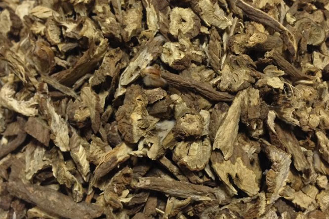 白头翁