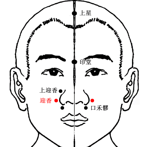 迎香穴