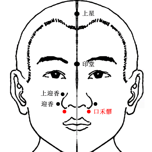 口禾髎穴