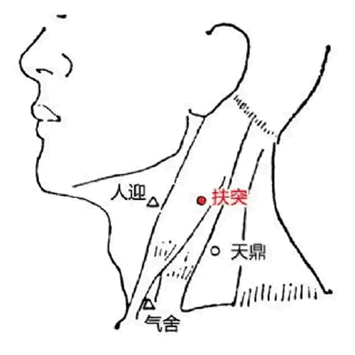 扶突穴