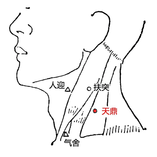 天鼎穴