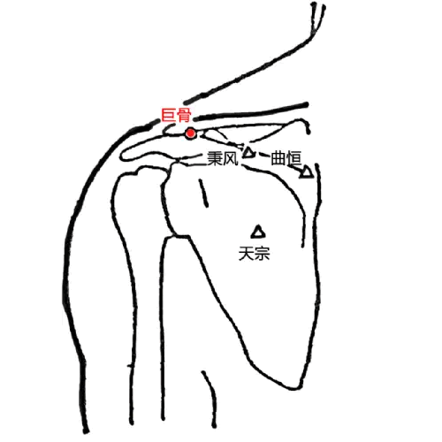 巨骨穴