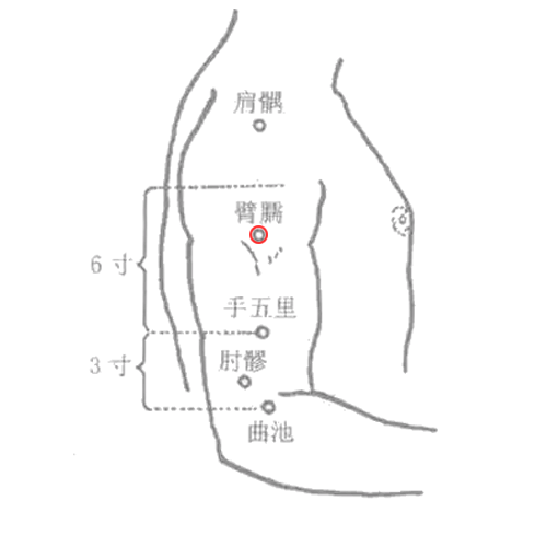 臂臑穴