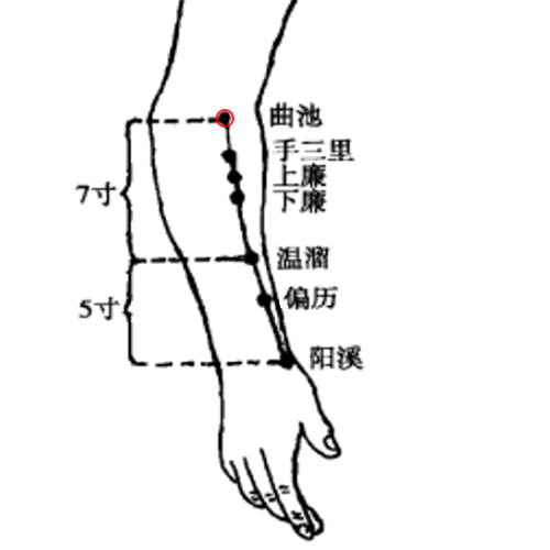曲池穴