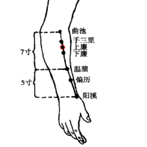 上廉穴