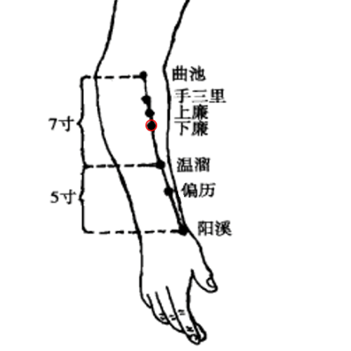 下廉穴