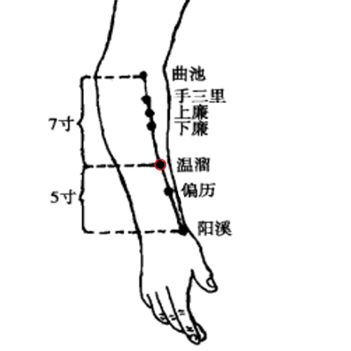 温溜穴