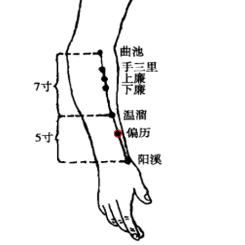 偏历穴