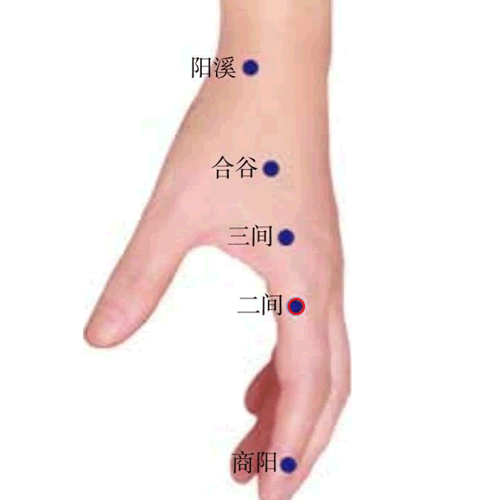 二间穴