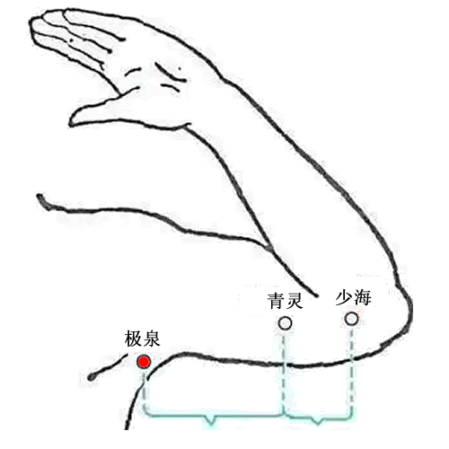 极泉穴