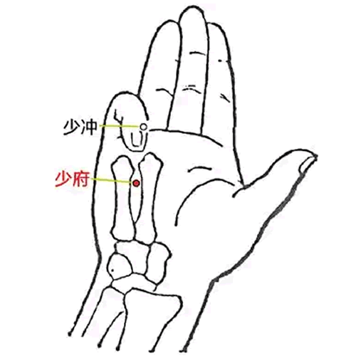 少府穴