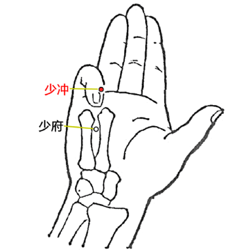 少冲穴