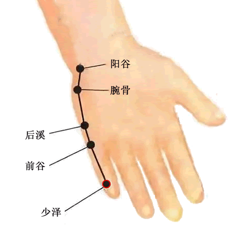 少泽穴