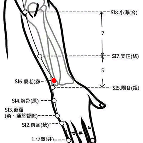 养老穴