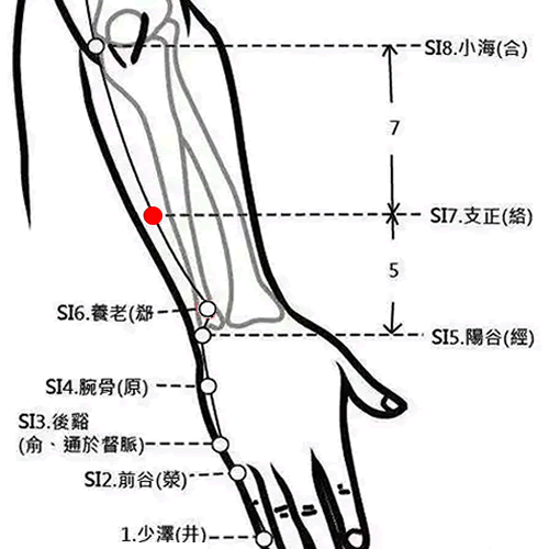 支正穴