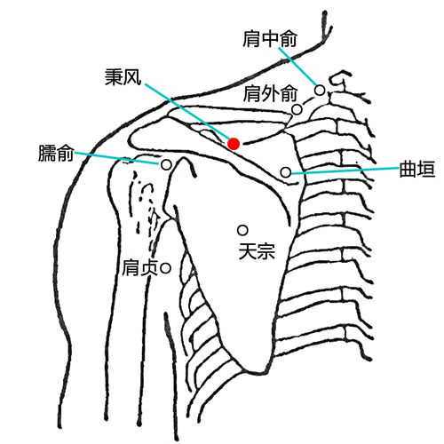 秉风穴