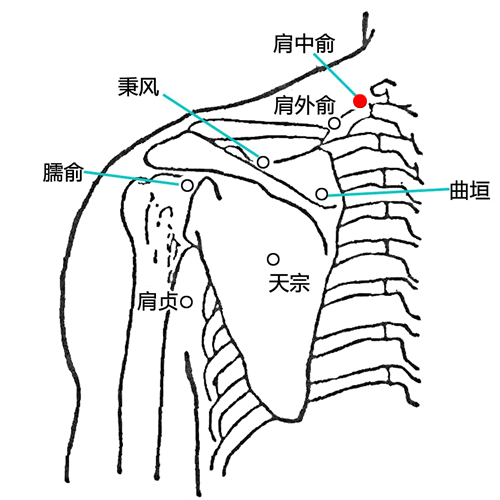 肩中俞穴