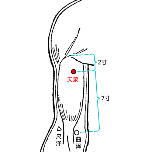 天泉穴