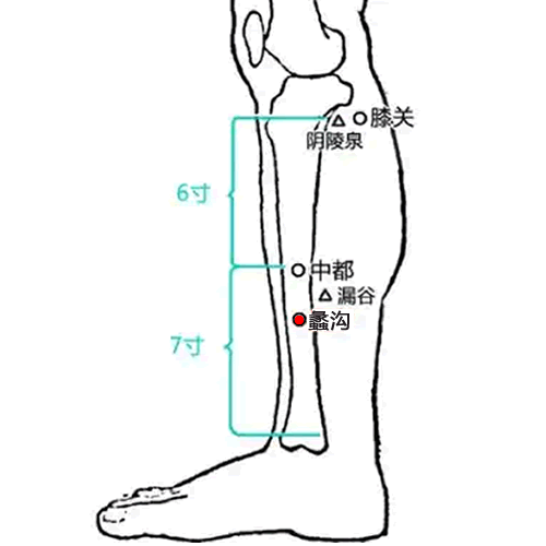 蠡沟穴
