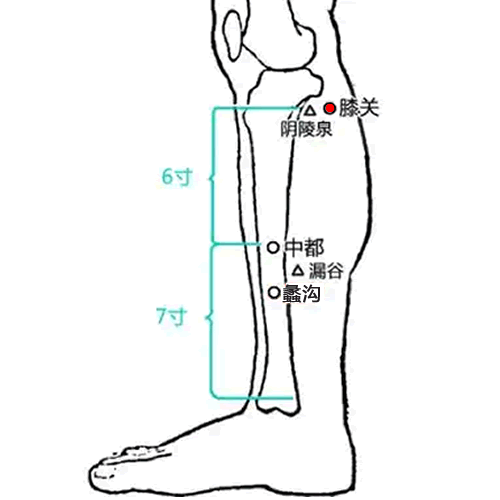膝关穴
