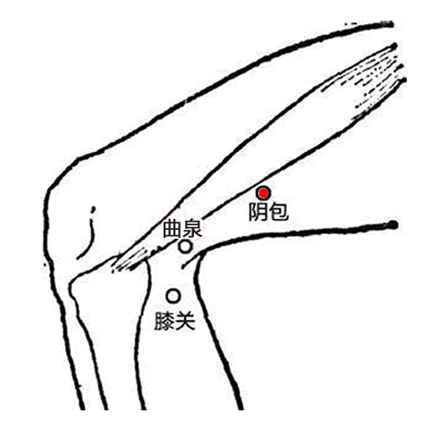阴包穴