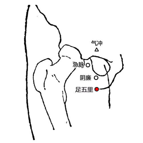 足五里穴