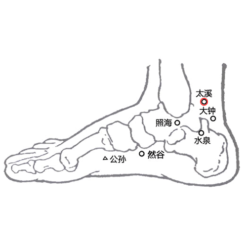 太溪穴