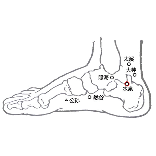 水泉穴
