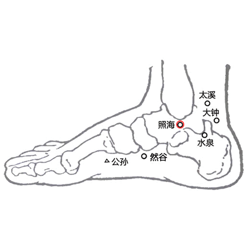 照海穴