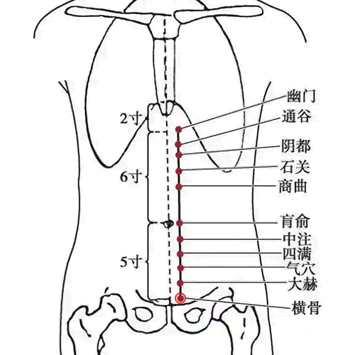 横骨穴