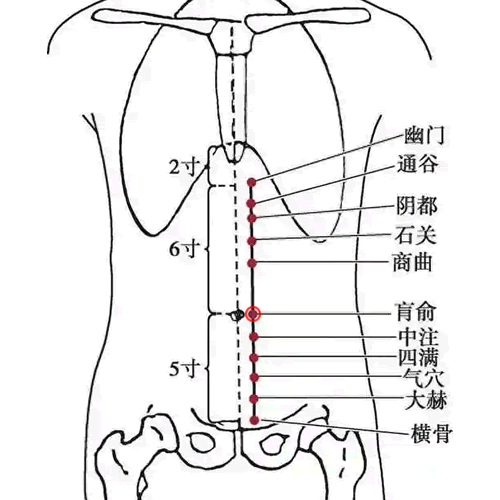 肓俞穴