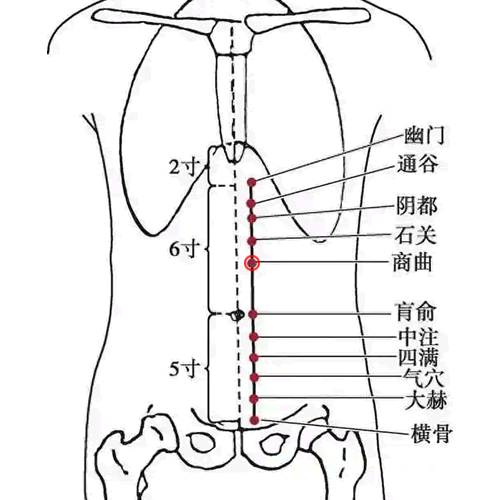 商曲穴