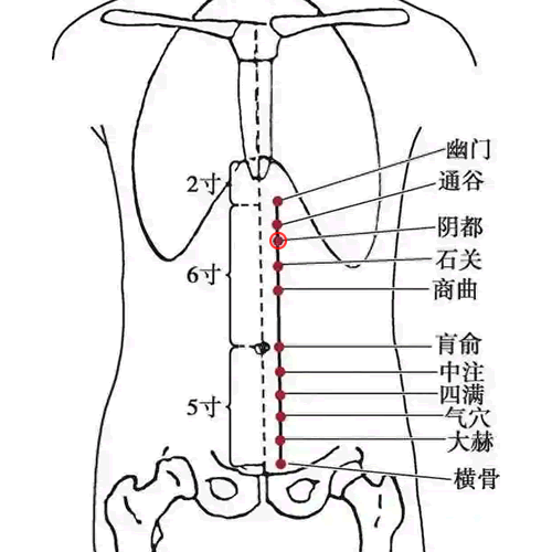 阴都穴
