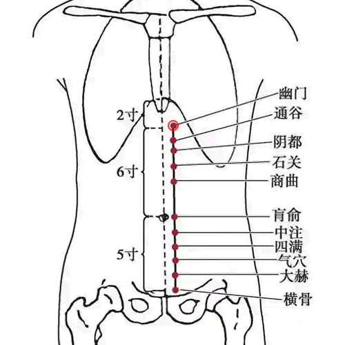 幽门穴