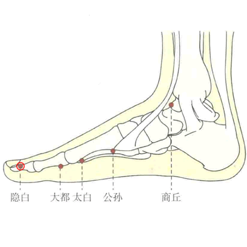 隐白穴