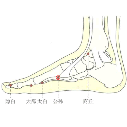 公孙穴
