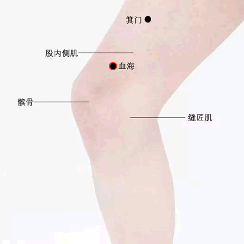 血海穴