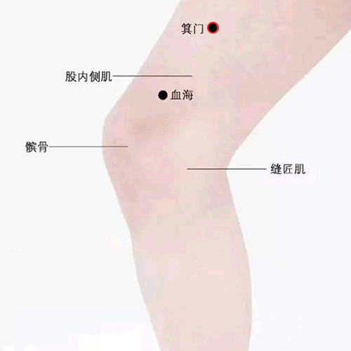 箕门穴