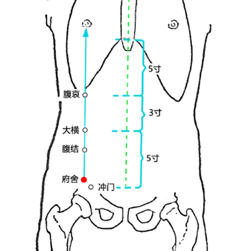 府舍穴