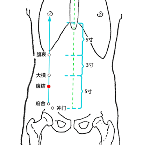 腹结穴
