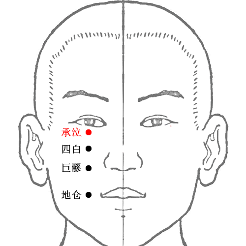 承泣穴