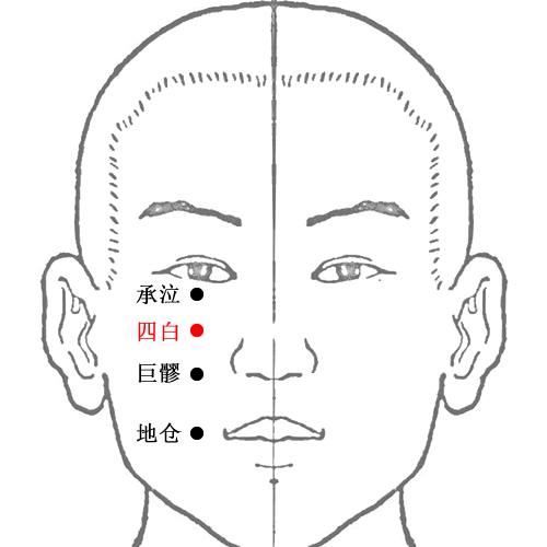 四白穴