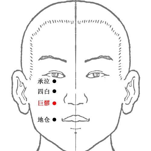 巨髎穴