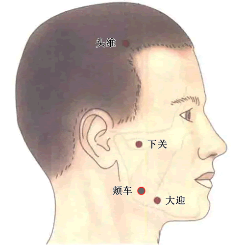 颊车穴