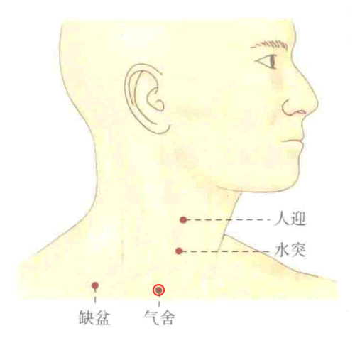 气舍穴