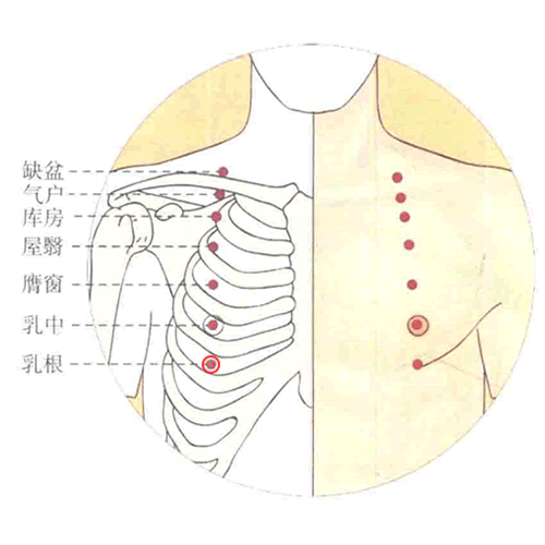 乳根穴
