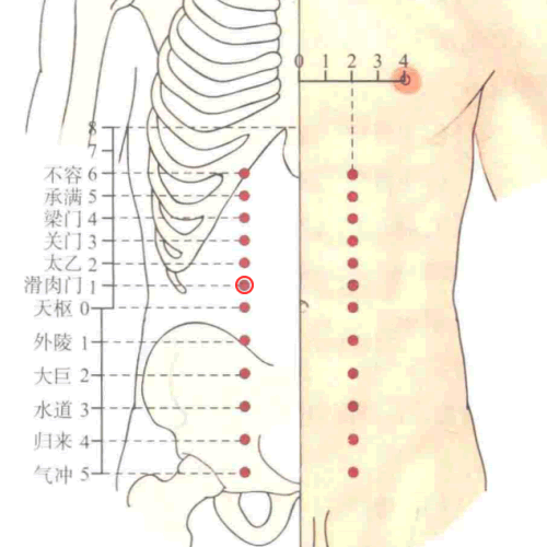 滑肉门穴
