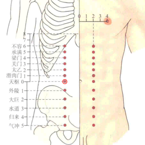 天枢穴